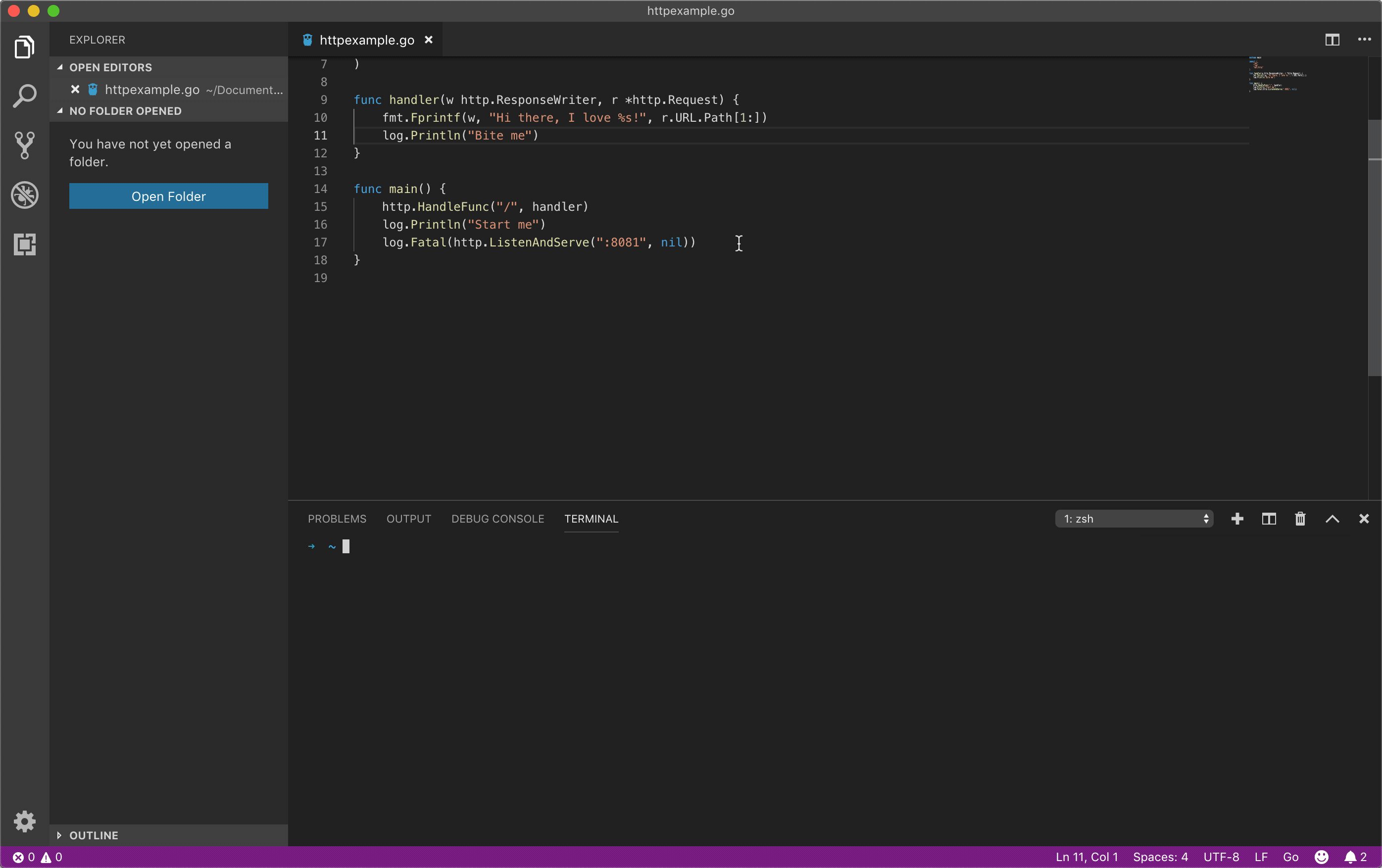 Go语言开发调试入门