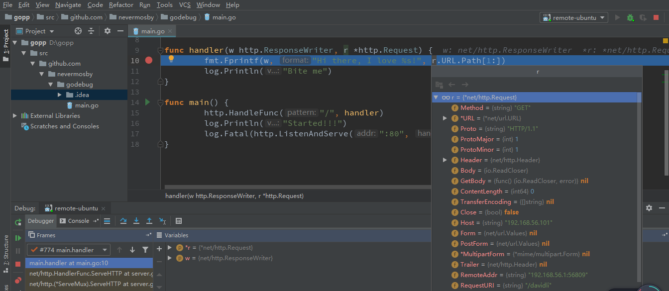 Go语言开发调试高阶